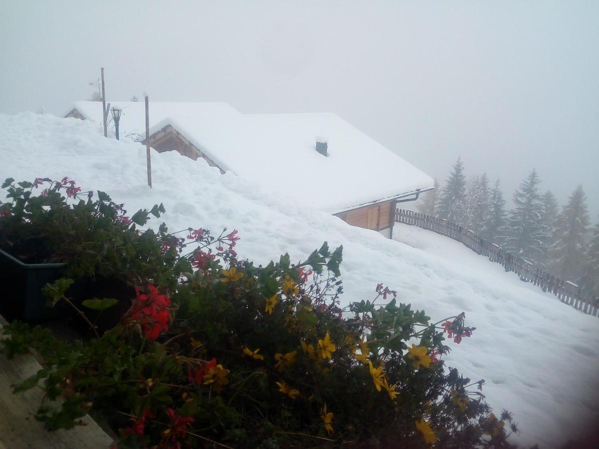 Chalet Niederhaushof Ultimo Exterior foto